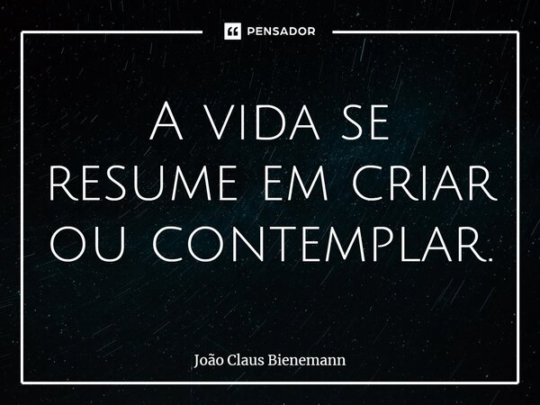 ⁠A vida se resume em criar ou contemplar.... Frase de João Claus Bienemann.