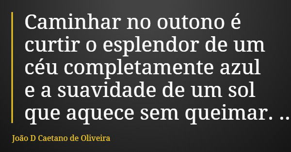 Caminhar no outono é curtir o esplendor de um céu completamente azul e a suavidade de um sol que aquece sem queimar.... Frase de João D Caetano de Oliveira.