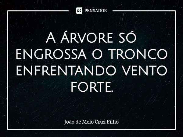 ⁠A árvore só engrossa o tronco enfrentando vento forte.... Frase de João de Melo Cruz Filho.