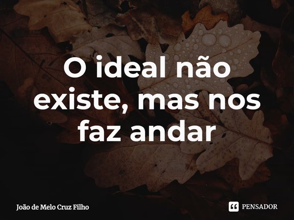 ⁠O ideal não existe, mas nos faz andar... Frase de João de Melo Cruz Filho.