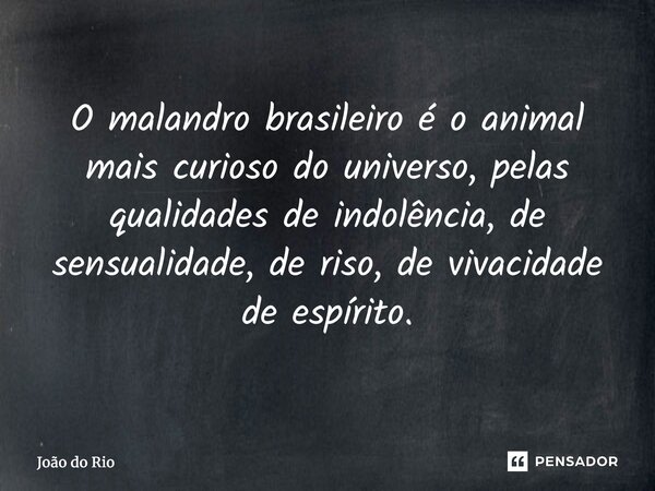 ⁠O malandro brasileiro é o animal mais curioso do universo, pelas qualidades de indolência, de sensualidade, de riso, de vivacidade de espírito.... Frase de João do Rio.