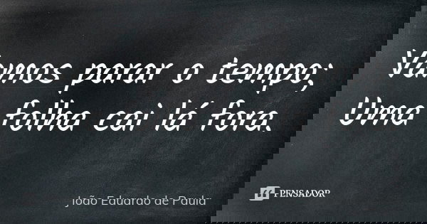 Vamos parar o tempo; Uma folha cai lá fora.... Frase de Joao Eduardo de Paula.