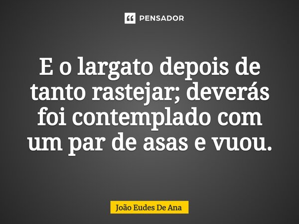 ⁠E o lagarto depois de tanto rastejar; deverás foi contemplado com um par de asas e voou.... Frase de João Eudes De Ana.