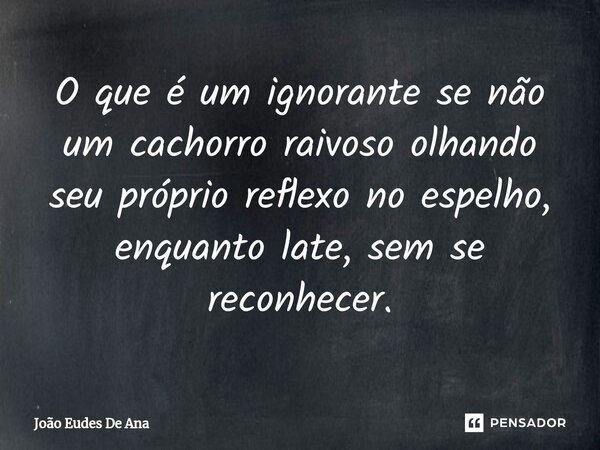 ⁠O que é um ignorante se não um cachorro raivoso olhando seu próprio reflexo no espelho, enquanto late, sem se reconhecer.... Frase de João Eudes De Ana.
