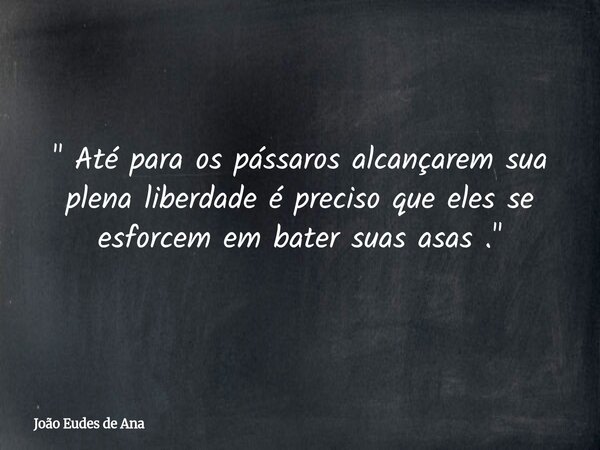 " Até para os pássaros alcançarem sua plena liberdade é preciso que eles se esforcem em bater suas asas ."... Frase de João Eudes de Ana.
