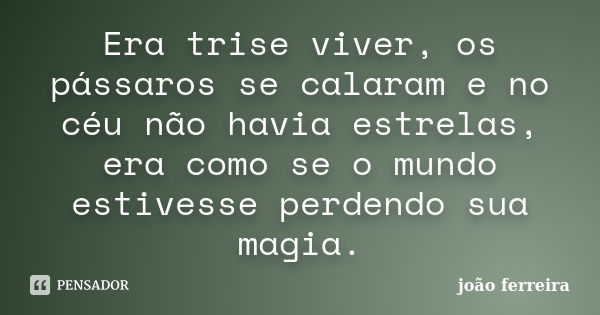 Era trise viver, os pássaros se calaram e no céu não havia estrelas, era como se o mundo estivesse perdendo sua magia.... Frase de João Ferreira.