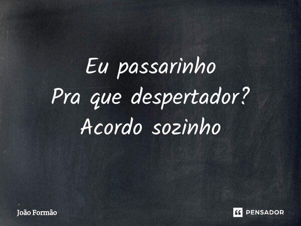 ⁠Eu passarinho Pra que despertador? Acordo sozinho... Frase de João Formão.