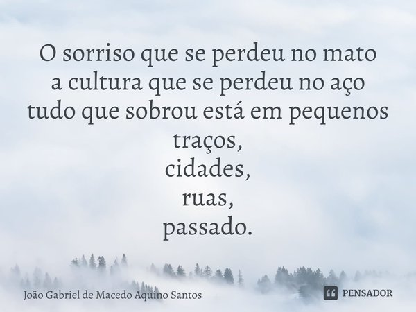 ⁠⁠O sorriso que se perdeu no mato
a cultura que se perdeu no aço
tudo que sobrou está em pequenos traços,
cidades,
ruas,
passado.... Frase de João Gabriel de Macedo Aquino Santos.