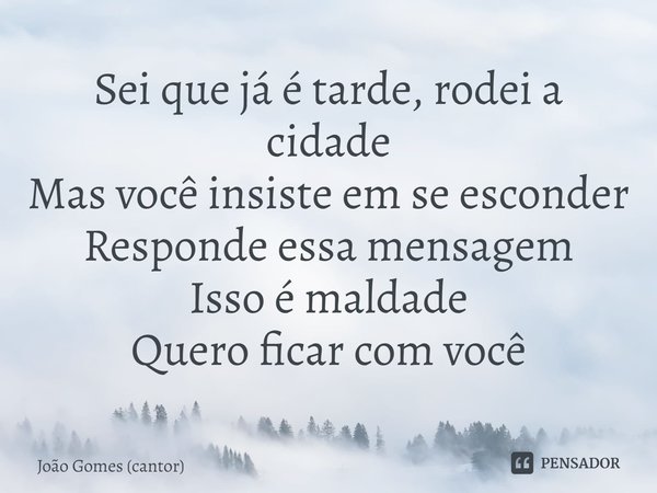 ⁠Sei que já é tarde, rodei a cidade Mas você insiste em se esconder Responde essa mensagem Isso é maldade Quero ficar com você... Frase de João Gomes (cantor).