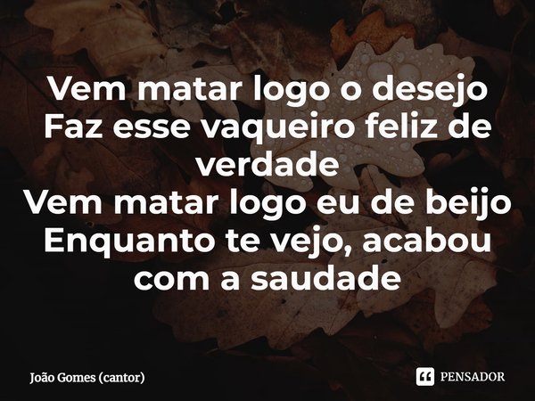 ⁠Vem matar logo o desejo Faz esse vaqueiro feliz de verdade Vem matar logo eu de beijo Enquanto te vejo, acabou com a saudade... Frase de João Gomes (cantor).