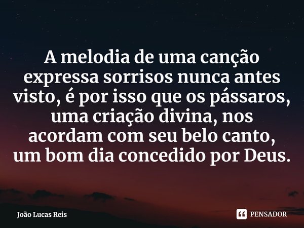 ⁠A melodia de uma canção expressa sorrisos nunca antes visto, é por isso que os pássaros, uma criação divina, nos acordam com seu belo canto, um bom dia concedi... Frase de João Lucas Reis.