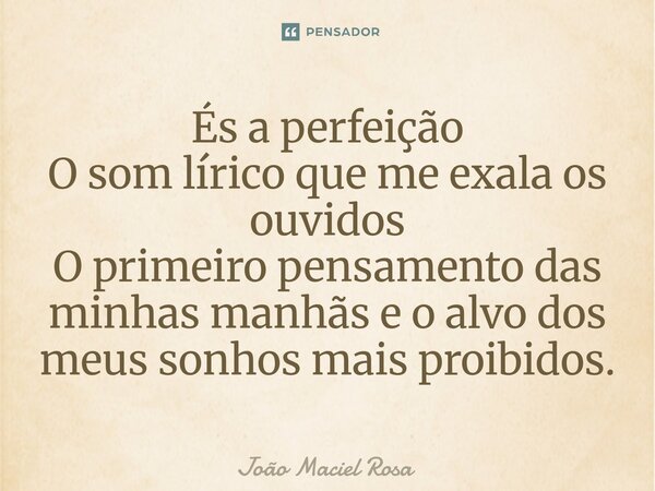 ⁠És a perfeição O som lírico que me exala os ouvidos O primeiro pensamento das minhas manhãs e o alvo dos meus sonhos mais proibidos.... Frase de João Maciel Rosa.