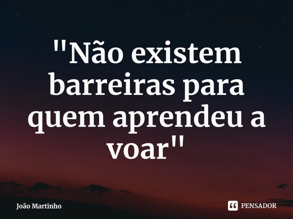 "Não existem barreiras para quem aprendeu a voar"... Frase de João Martinho.