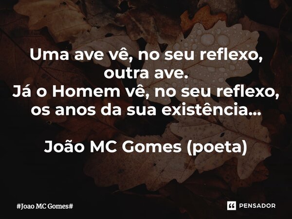 ⁠Uma ave vê, no seu reflexo, outra ave. Já o Homem vê, no seu reflexo, os anos da sua existência... João MC Gomes (poeta)... Frase de Joao MC Gomes.