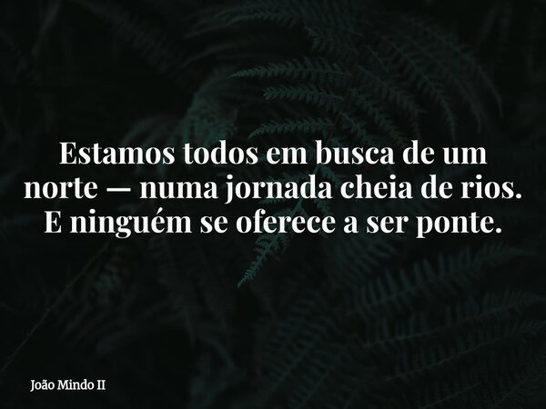 Estamos todos em busca de um norte — numa jornada cheia de rios. E ninguém se oferece a ser ponte.... Frase de João Mindo II.