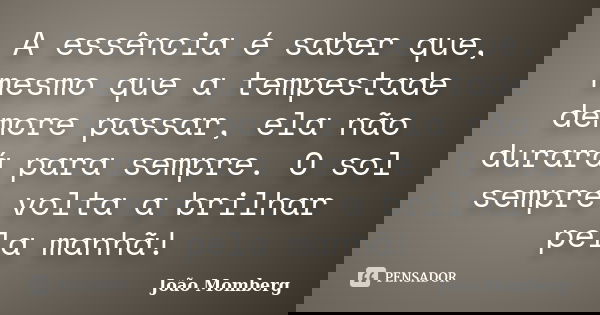 A essência é saber que, mesmo que a tempestade demore passar, ela não durará para sempre. O sol sempre volta a brilhar pela manhã!... Frase de João Momberg.