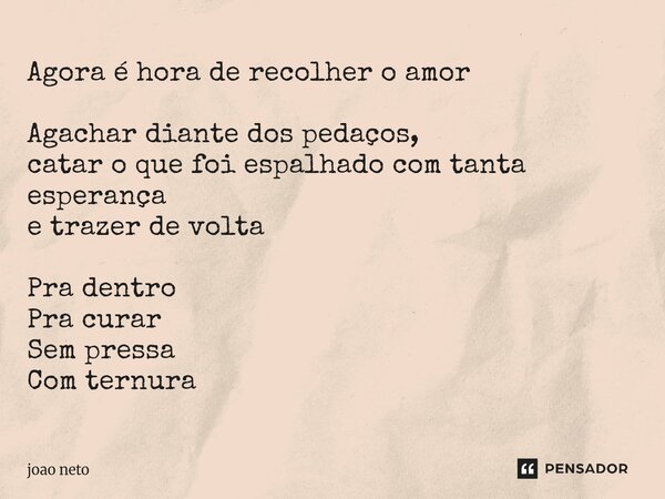 ⁠Agora é hora de recolher o amor Agachar diante dos pedaços, catar o que foi espalhado com tanta esperança e trazer de volta Pra dentro Pra curar Sem pressa Com... Frase de João Neto.