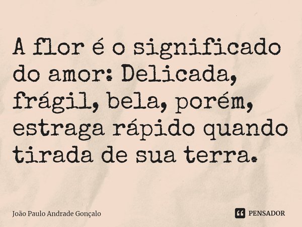 A flor é o significado do amor: Delicada, frágil, bela, porém,⁠ estraga rápido quando tirada de sua terra.... Frase de João Paulo Andrade Gonçalo.