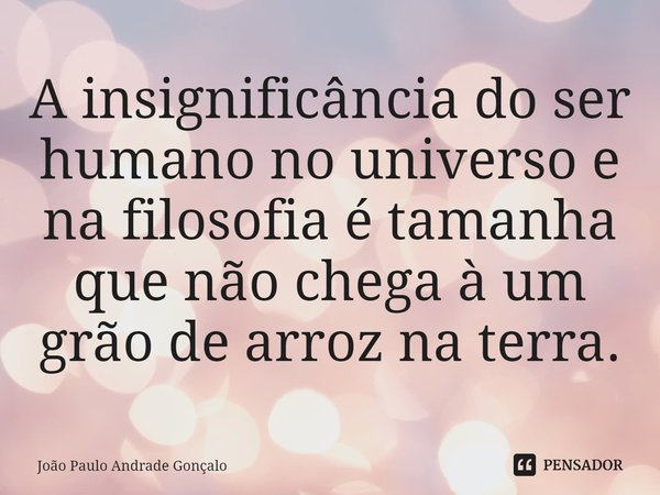 A insignificância do ser humano no universo e na filosofia é tamanha que não chega à um grão de arroz na terra.... Frase de João Paulo Andrade Gonçalo.