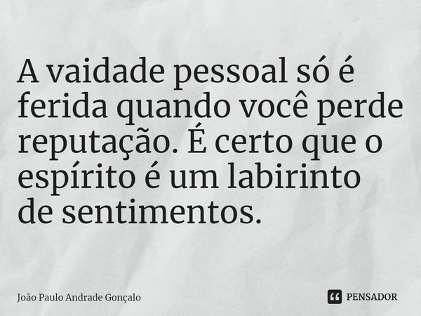 ⁠A vaidade pessoal só é ferida quando você perde reputação. É certo que o espírito é um labirinto de sentimentos.... Frase de João Paulo Andrade Gonçalo.