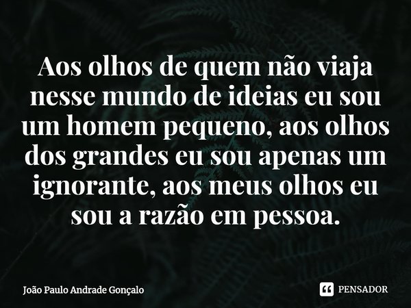 ⁠Aos olhos de quem não viaja nesse mundo de ideias eu sou um homem pequeno, aos olhos dos grandes eu sou apenas um ignorante, aos meus olhos eu sou a razão em p... Frase de João Paulo Andrade Gonçalo.