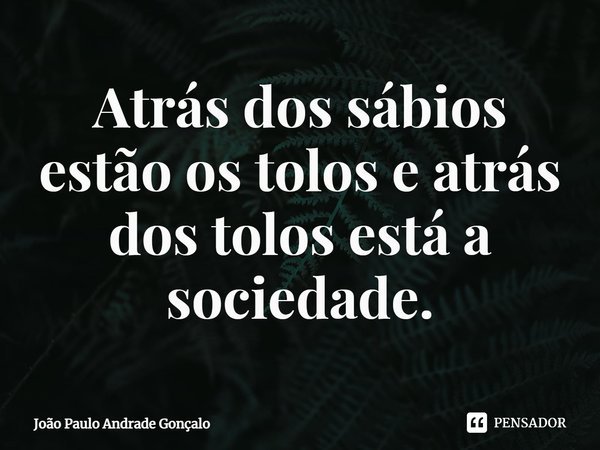 ⁠Atrás dos sábios estão os tolos e atrás dos tolos está a sociedade.... Frase de João Paulo Andrade Gonçalo.