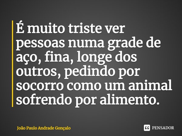 ⁠É muito triste ver pessoas numa grade de aço, fina, longe dos outros, pedindo por socorro como um animal sofrendo por alimento.... Frase de João Paulo Andrade Gonçalo.