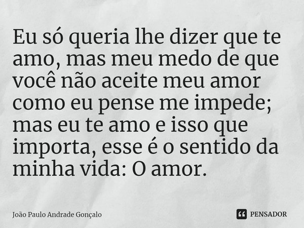 ⁠Eu só queria lhe dizer que te amo, mas meu medo de que você não aceite meu amor como eu pense me impede; mas eu te amo e isso que importa, esse é o sentido da ... Frase de João Paulo Andrade Gonçalo.