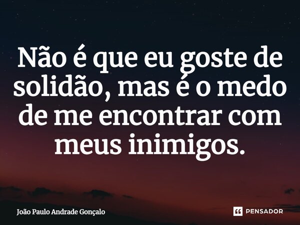 ⁠Não é que eu goste de solidão, mas é o medo de me encontrar com meus inimigos.... Frase de João Paulo Andrade Gonçalo.