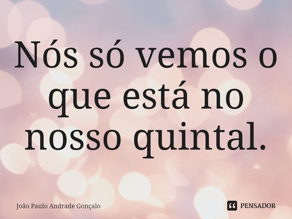 ⁠Nós só vemos o que está no nosso quintal.... Frase de João Paulo Andrade Gonçalo.