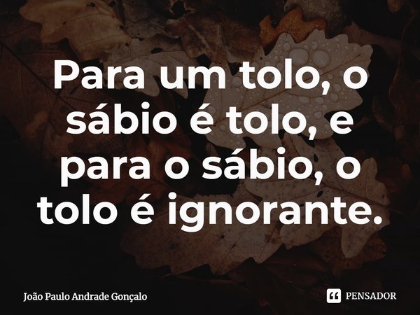 Para um tolo, o sábio é tolo, e para o sábio, o tolo é ignorante.⁠... Frase de João Paulo Andrade Gonçalo.