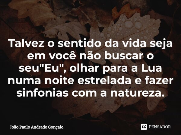 Talvez o sentido da vida seja em você não buscar o seu "Eu", olhar para a Lua numa noite estrelada e fazer sinfonias com a natureza.... Frase de João Paulo Andrade Gonçalo.