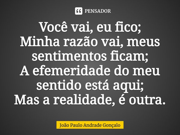 ⁠Você vai, eu fico;
Minha razão vai, meus sentimentos ficam;
A efemeridade do meu sentido está aqui;
Mas a realidade, é outra.... Frase de João Paulo Andrade Gonçalo.