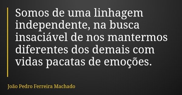 Somos de uma linhagem independente, na busca insaciável de nos mantermos diferentes dos demais com vidas pacatas de emoções.... Frase de João Pedro Ferreira Machado.