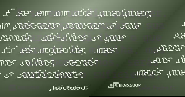 E se em um dia qualquer, um pássaro pousar à sua varanda, dá-lhes o que para ti és migalha, mas aos bons olhos, serás mais que o suficiente.... Frase de João Pedro G..