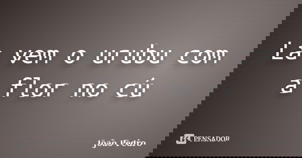 La vem o urubu com a flor no cú... Frase de João Pedro.