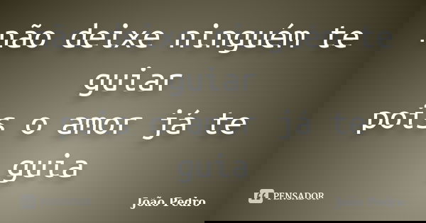 não deixe ninguém te guiar pois o amor já te guia... Frase de joao pedro.