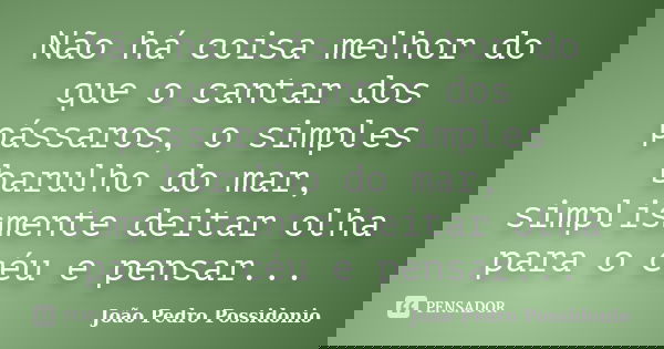 Não há coisa melhor do que o cantar dos pássaros, o simples barulho do mar, simplismente deitar olha para o céu e pensar...... Frase de João Pedro Possidonio.