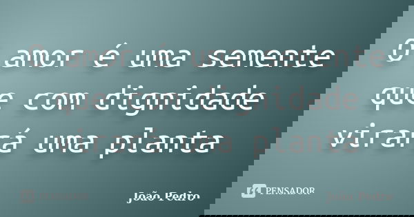 O amor é uma semente que com dignidade virará uma planta... Frase de João Pedro.