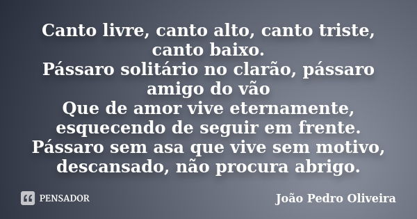 Canto livre, canto alto, canto triste, canto baixo. Pássaro solitário no clarão, pássaro amigo do vão Que de amor vive eternamente, esquecendo de seguir em fren... Frase de João Pedro Oliveira.