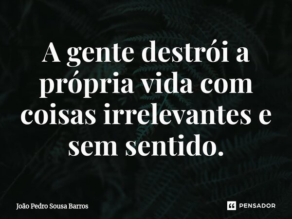 ⁠A gente destrói a própria vida com coisas irrelevantes e sem sentido.... Frase de João Pedro Sousa Barros.