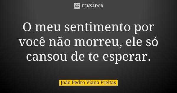 O meu sentimento por você não morreu, ele só cansou de te esperar.... Frase de João Pedro Viana Freitas.