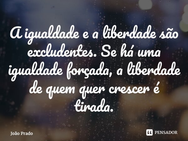 ⁠A igualdade e a liberdade são excludentes. Se há uma igualdade forçada, a liberdade de quem quer crescer é tirada.... Frase de João Prado.