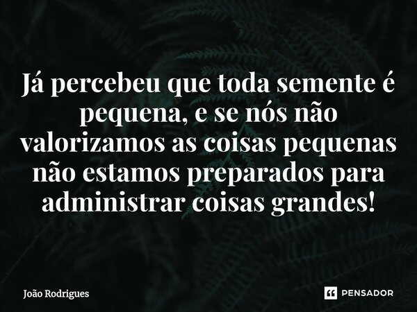 ⁠Já percebeu que toda semente é pequena, e se nós não valorizamos as coisas pequenas não estamos preparados para administrar coisas grandes!... Frase de joão rodrigues.