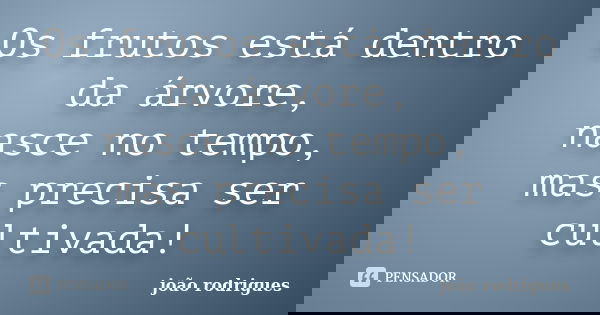 Os frutos está dentro da árvore, nasce no tempo, mas precisa ser cultivada!... Frase de João Rodrigues.