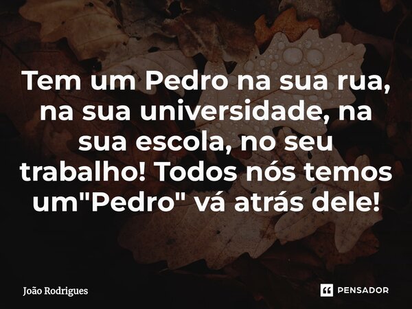 ⁠Tem um Pedro na sua rua, na sua universidade, na sua escola, no seu trabalho! Todos nós temos um "Pedro" vá atrás dele!... Frase de joão rodrigues.