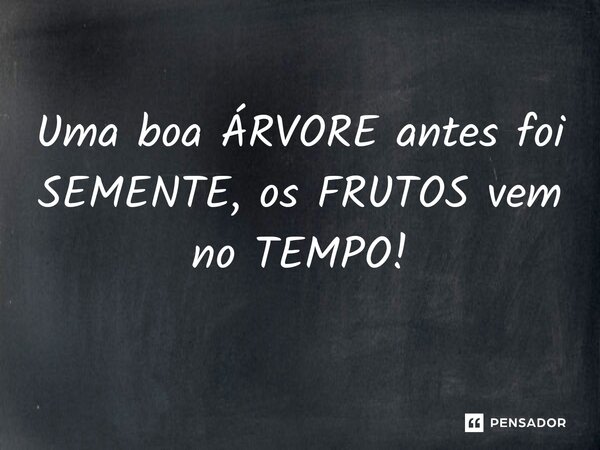 Uma boa ÁRVORE antes foi SEMENTE, os FRUTOS vem no TEMPO!... Frase de João Rodrigues.