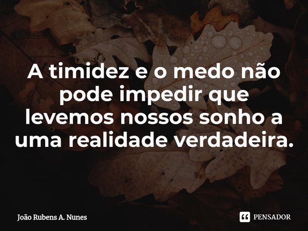 ⁠A timidez e o medo não pode impedir que levemos nossos sonho a uma realidade verdadeira.... Frase de João Rubens A. Nunes.