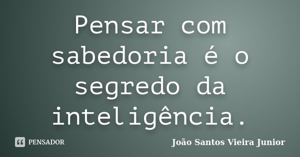 Pensar com sabedoria é o segredo da inteligência.... Frase de João Santos Vieira Junior.