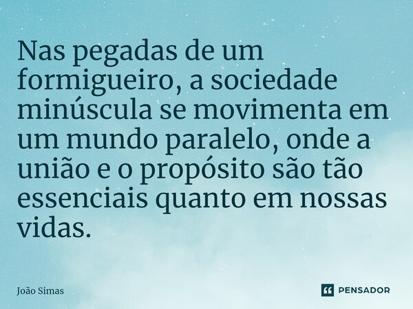 Nas pegadas de um formigueiro, a sociedade minúscula se movimenta em um mundo paralelo, onde a união e o propósito são tão essenciais quanto em nossas vidas.... Frase de Joao Simas.